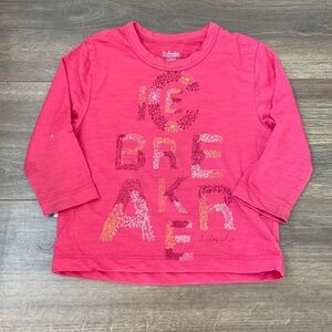 2/$30 Icebreaker 100% Merino Wool top